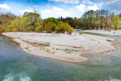 Munich river isar with famous island flaucher